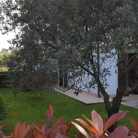 Villacolle Apartment *